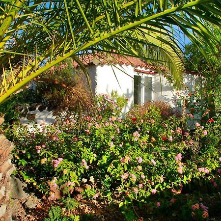 Finca Cosmos El Paso Exteriör bild