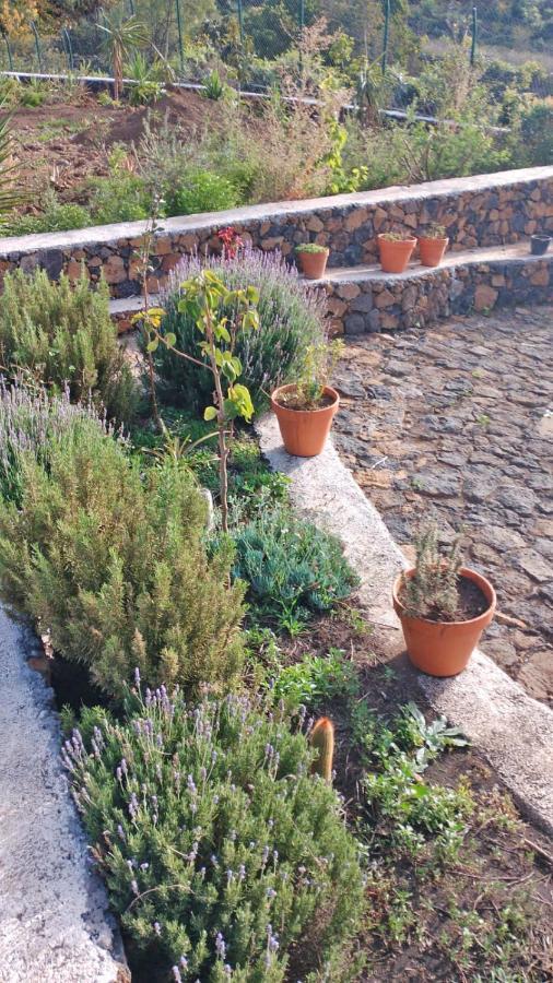 Finca Cosmos El Paso Exteriör bild