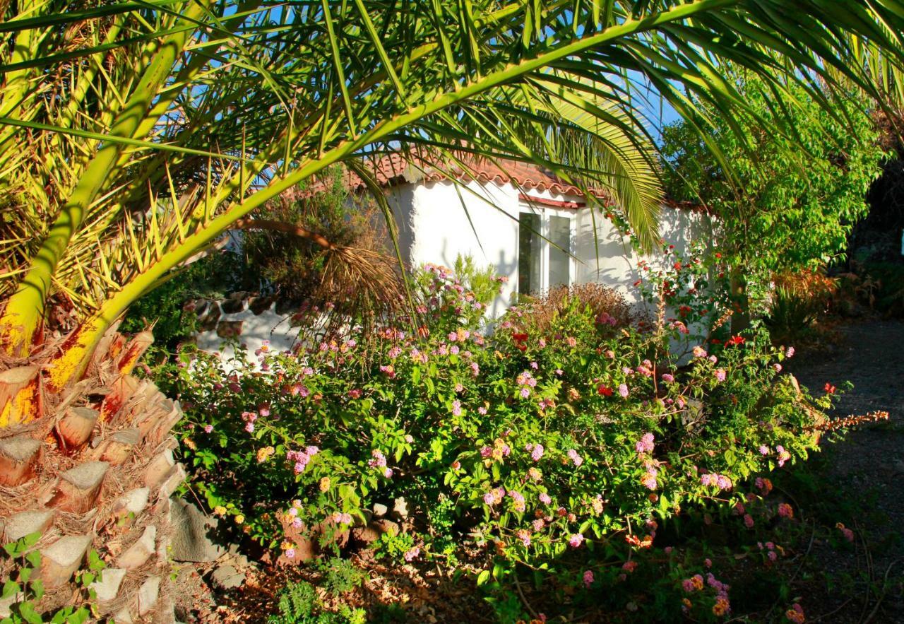 Finca Cosmos El Paso Exteriör bild